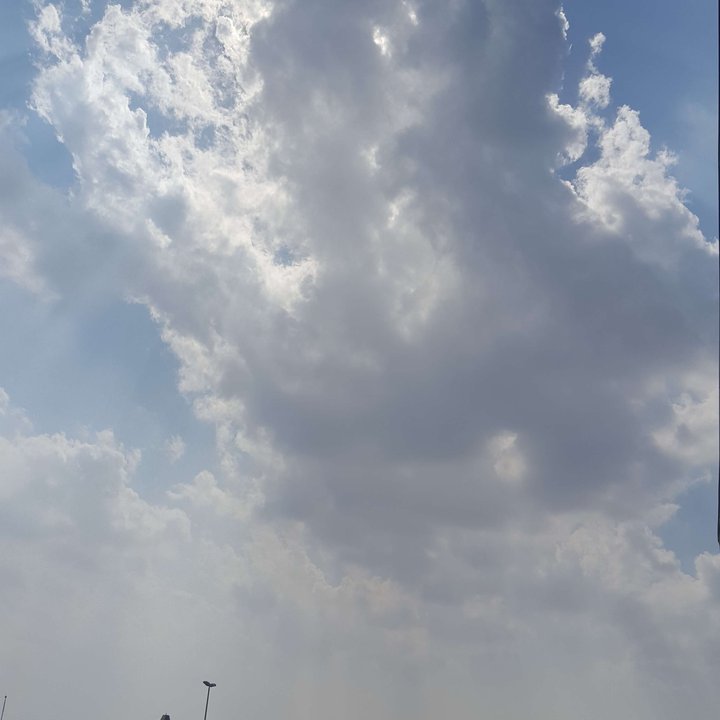 مشاركاتي في أنت الراصد