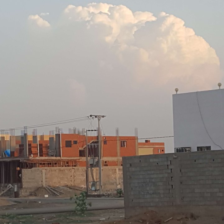 مشاركاتي في أنت الراصد