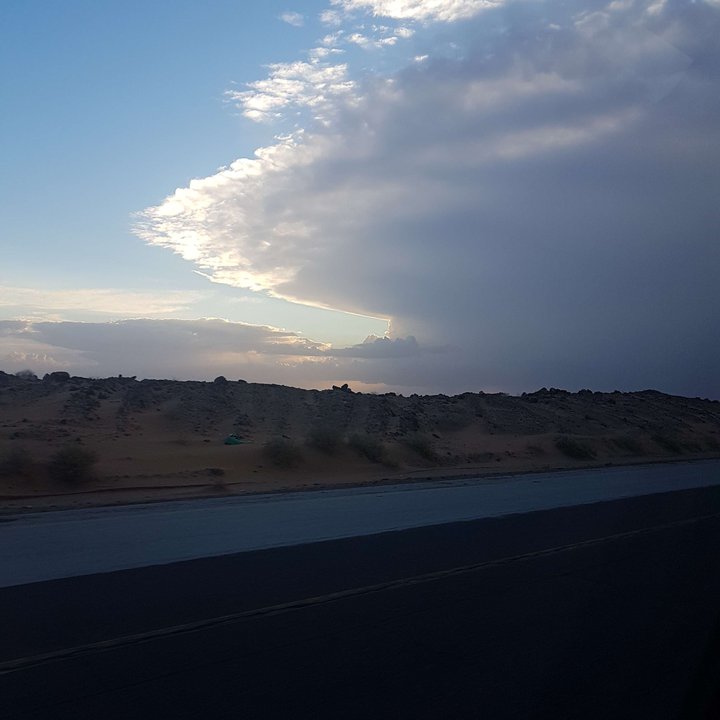 مشاركاتي في أنت الراصد