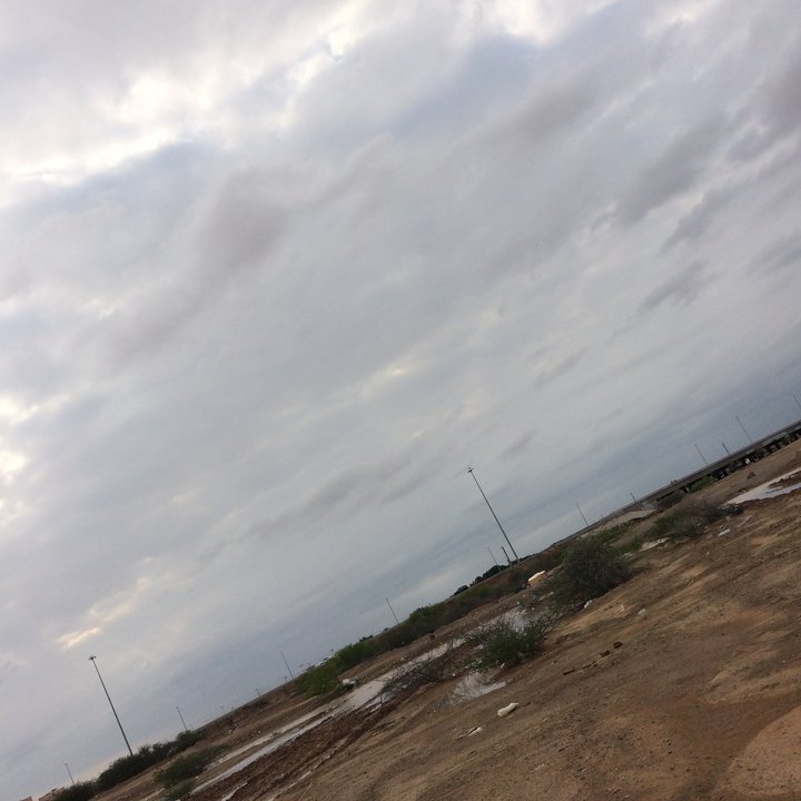 مشاركاتي في أنت الراصد