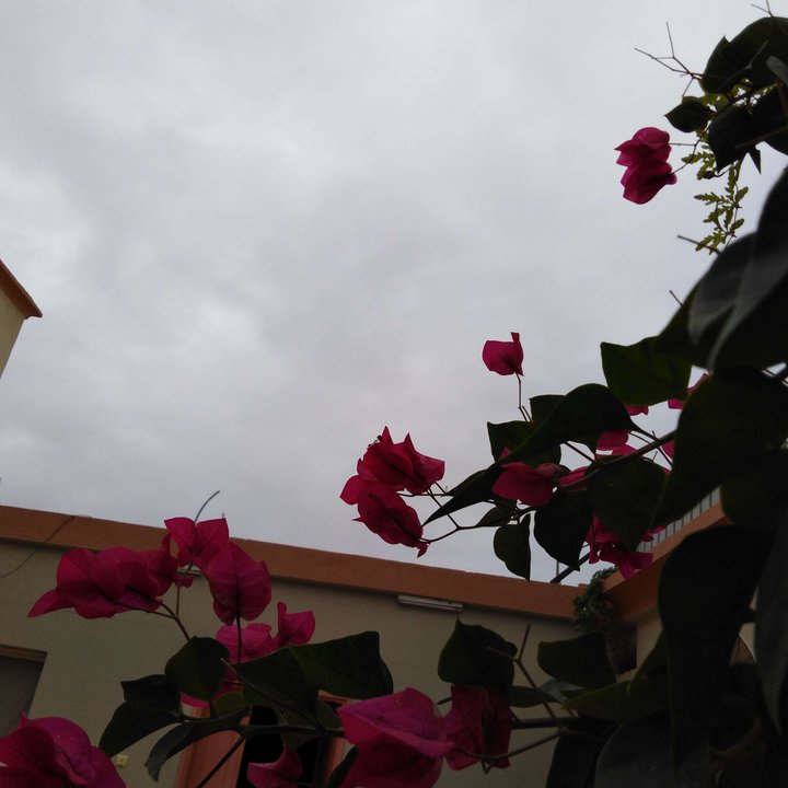 My Crowdsourcing Posts