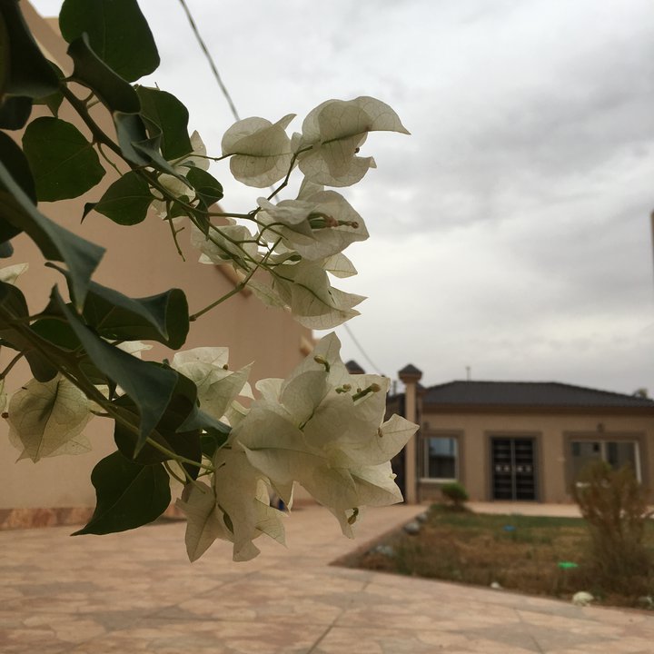 My Crowdsourcing Posts