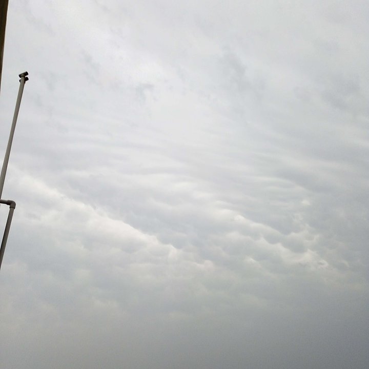 My Crowdsourcing Posts