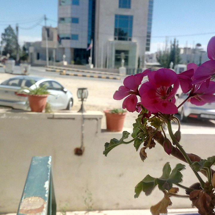 My Crowdsourcing Posts