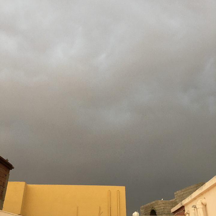 مشاركاتي في أنت الراصد