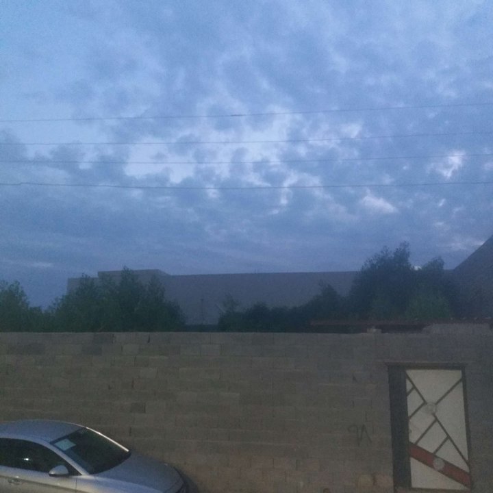 مشاركاتي في أنت الراصد