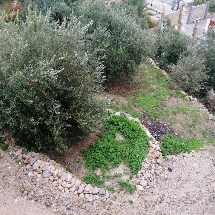 My Crowdsourcing Posts