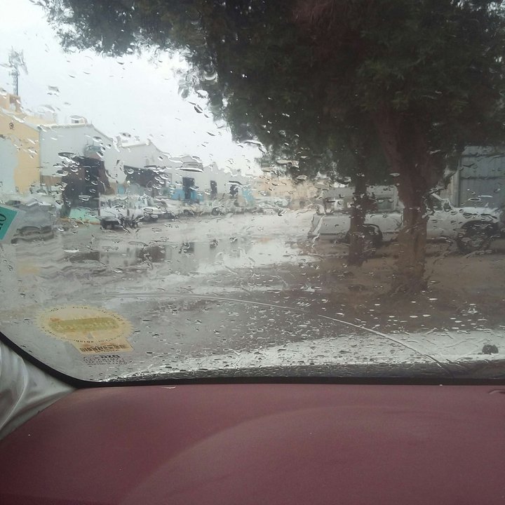 مشاركاتي في أنت الراصد