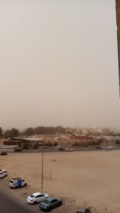 مشاركاتي في أنت الراصد