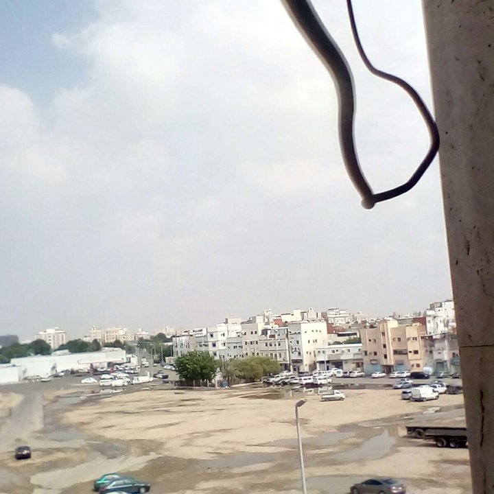 My Crowdsourcing Posts