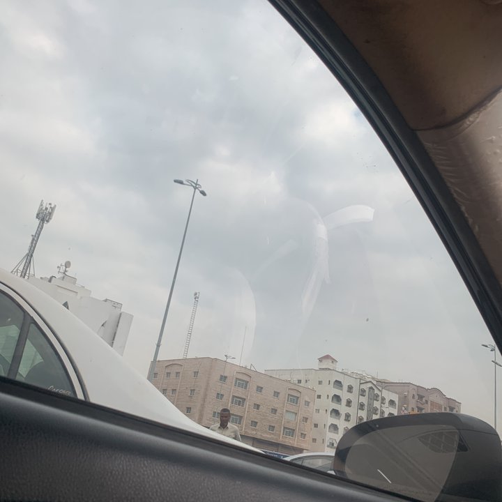 مشاركاتي في أنت الراصد