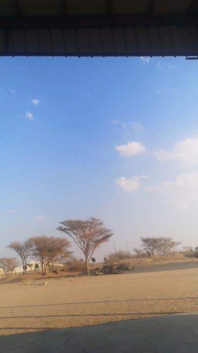 مشاركاتي في أنت الراصد