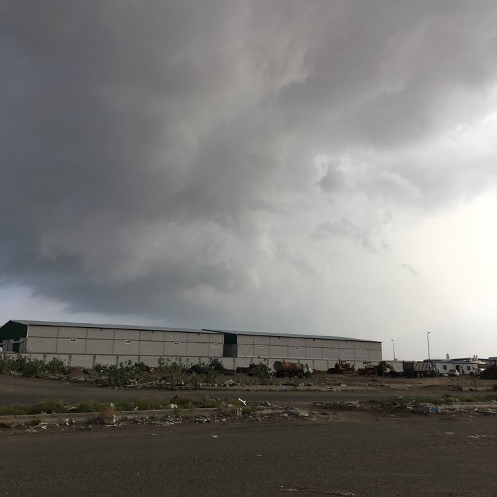 مشاركاتي في أنت الراصد