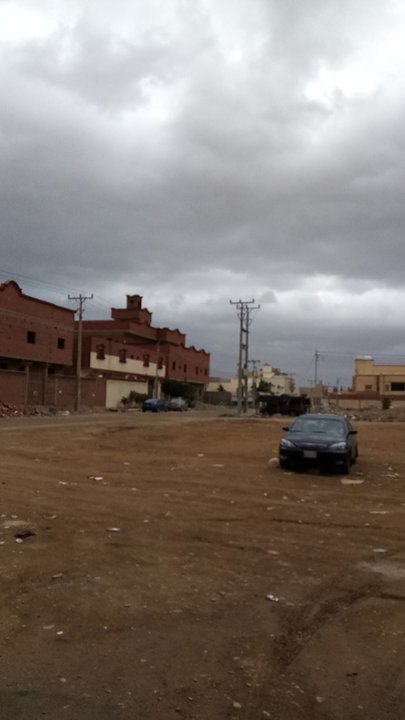 مشاركاتي في أنت الراصد