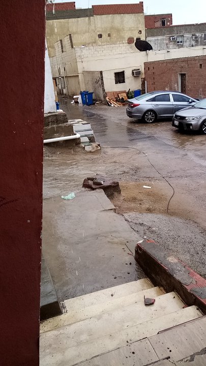 مشاركاتي في أنت الراصد