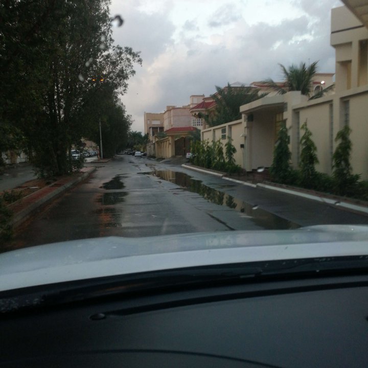 مشاركاتي في أنت الراصد