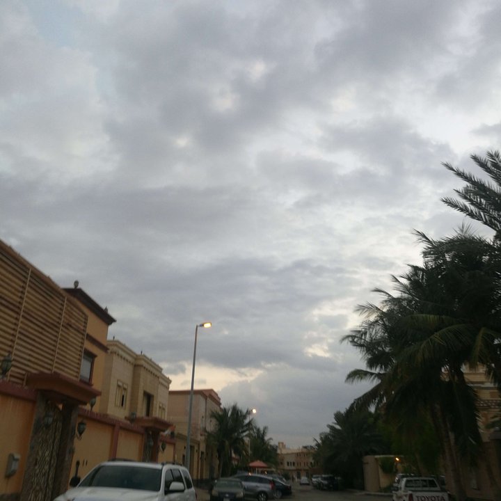 مشاركاتي في أنت الراصد