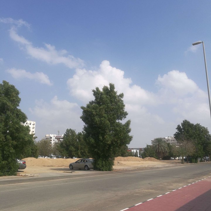 مشاركاتي في أنت الراصد