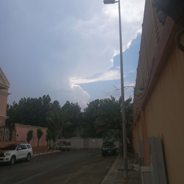 مشاركاتي في أنت الراصد