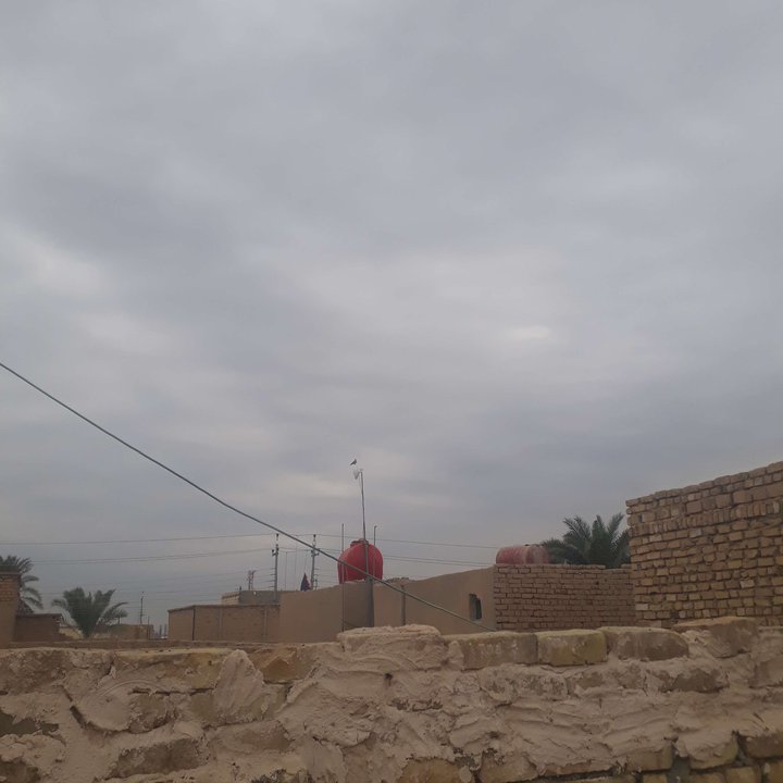 مشاركاتي في أنت الراصد