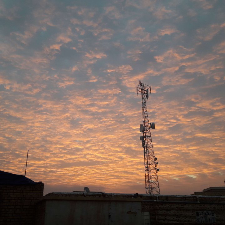 مشاركاتي في أنت الراصد