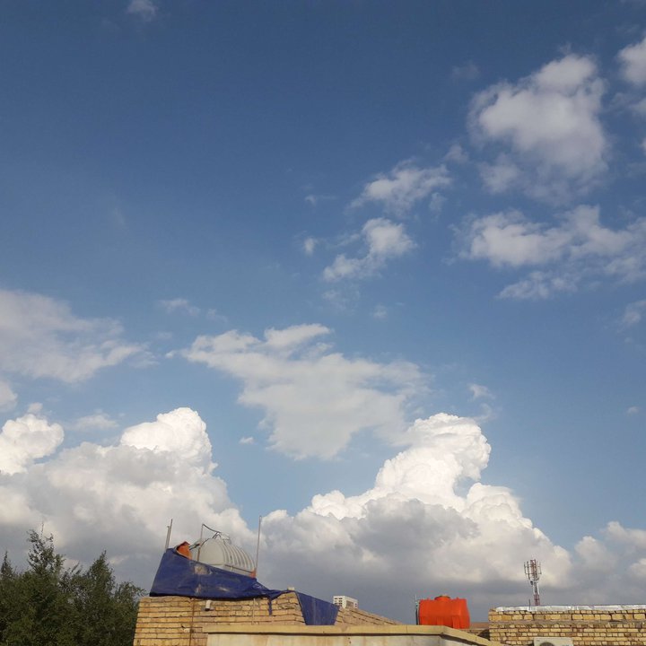 مشاركاتي في أنت الراصد