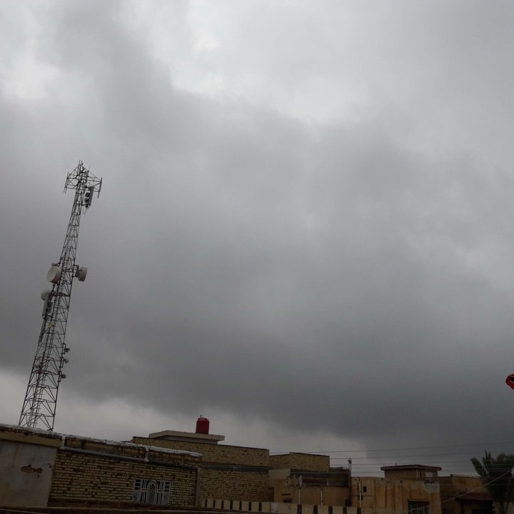 مشاركاتي في أنت الراصد