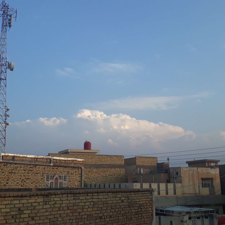 مشاركاتي في أنت الراصد