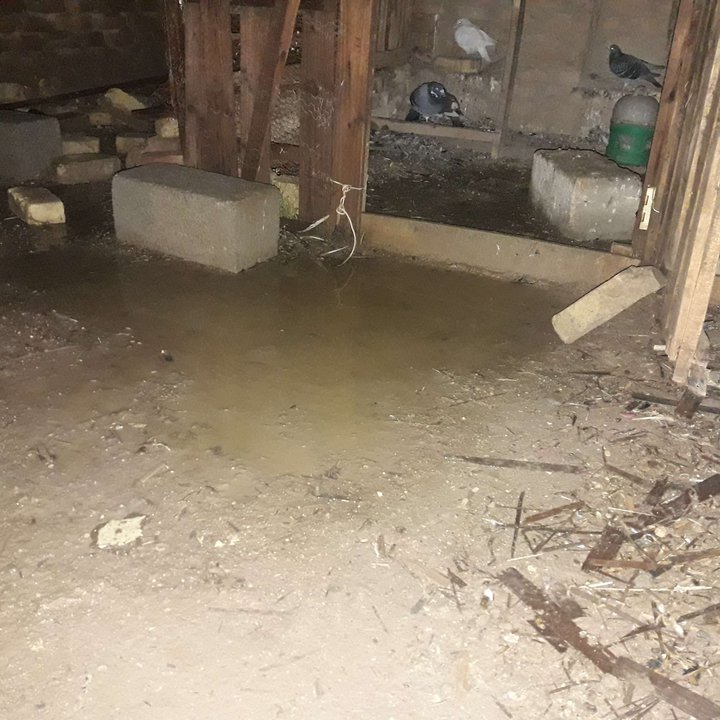 مشاركاتي في أنت الراصد