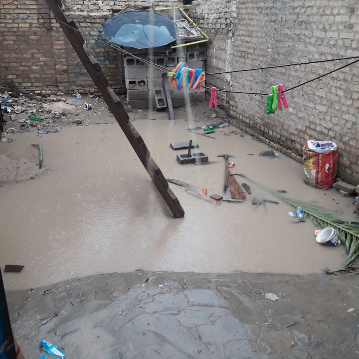 مشاركاتي في أنت الراصد