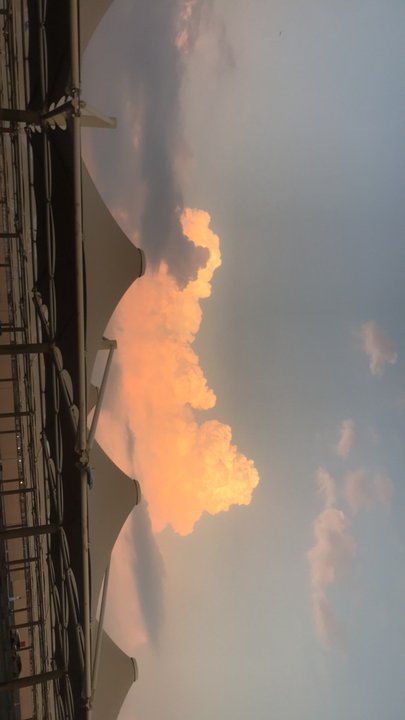 Mes publications Crowdsourcing