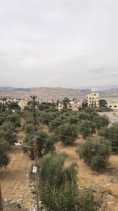 مشاركاتي في أنت الراصد