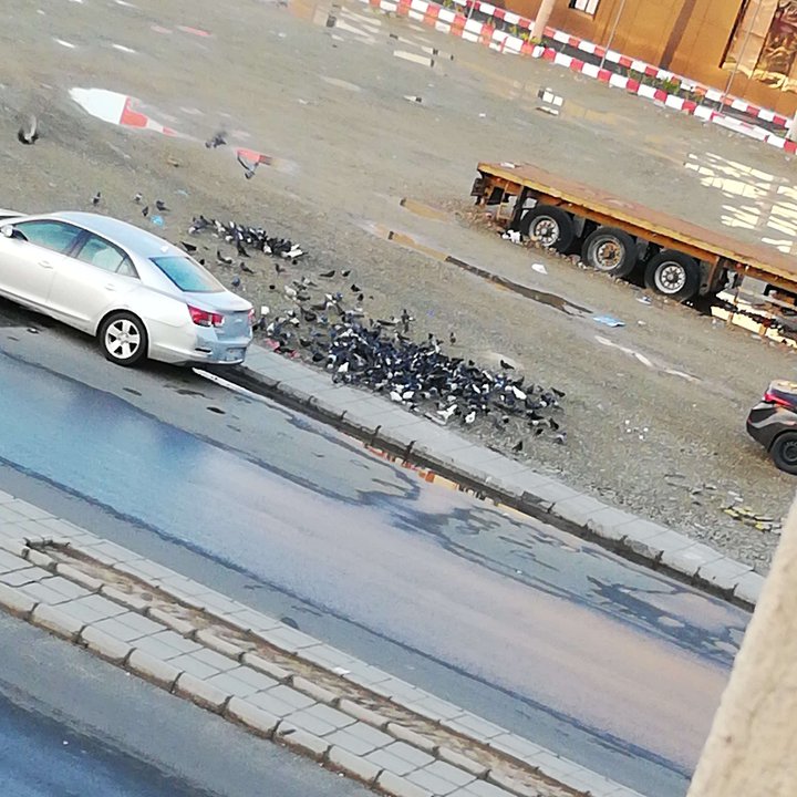 My Crowdsourcing Posts