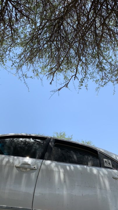 مشاركاتي في أنت الراصد