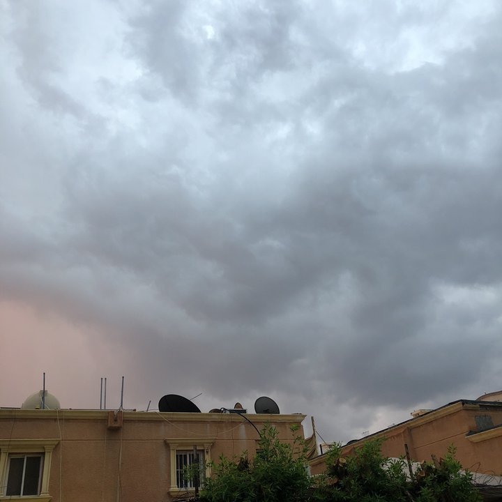 مشاركاتي في أنت الراصد