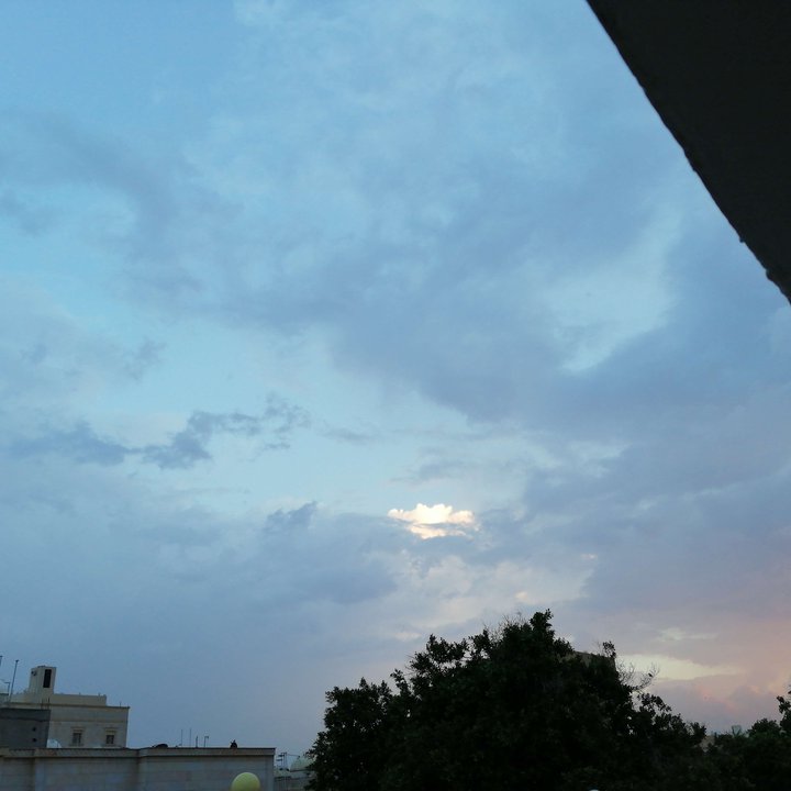 مشاركاتي في أنت الراصد