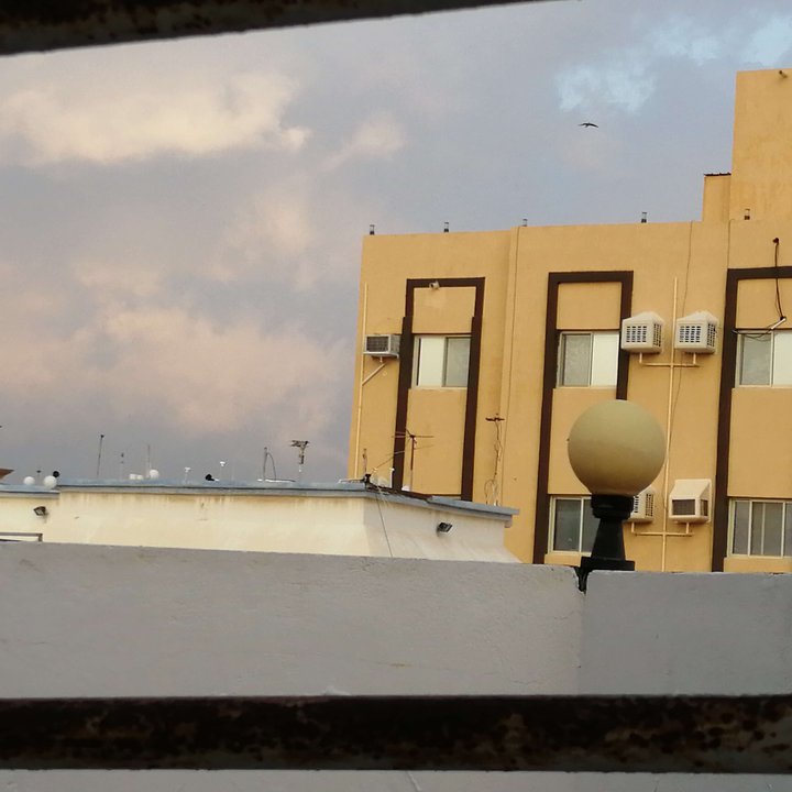 مشاركاتي في أنت الراصد