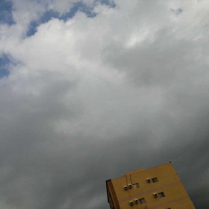 مشاركاتي في أنت الراصد