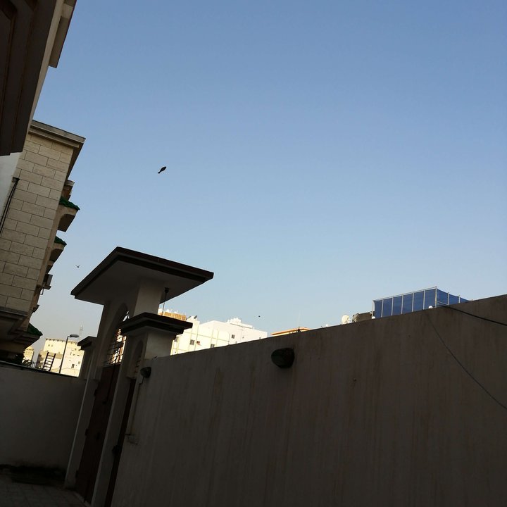 My Crowdsourcing Posts