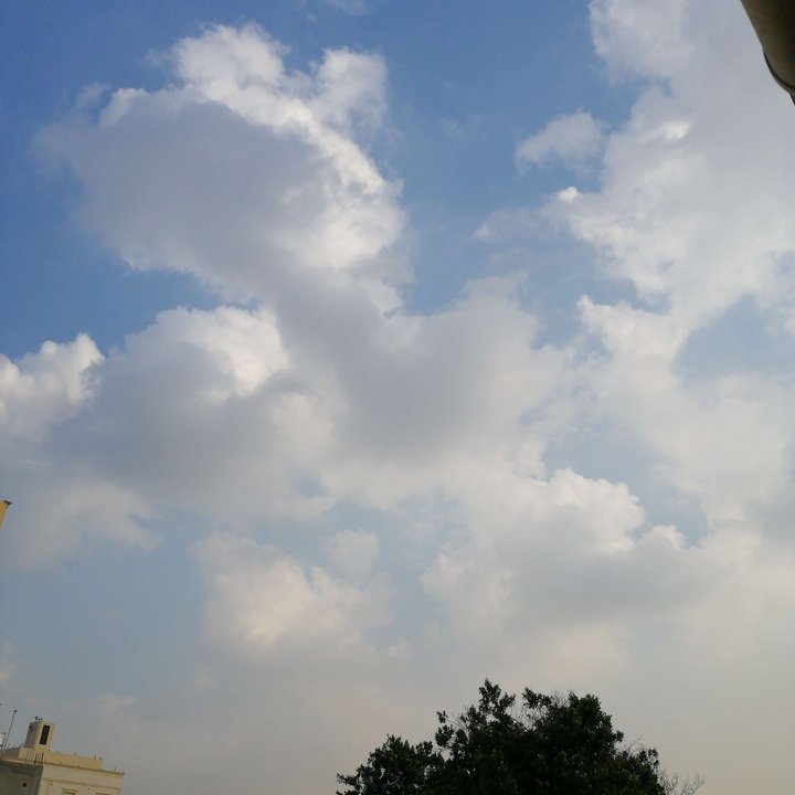 مشاركاتي في أنت الراصد