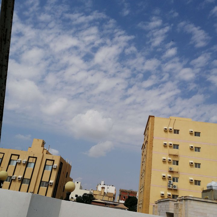 مشاركاتي في أنت الراصد