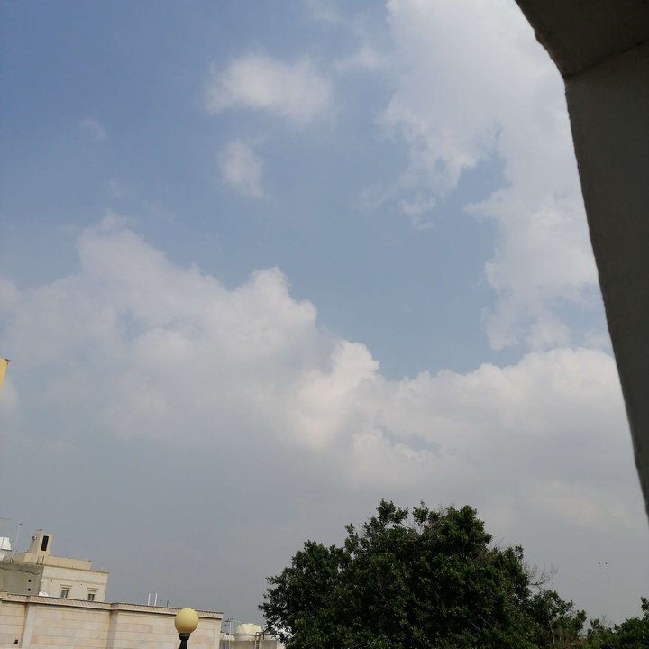 مشاركاتي في أنت الراصد