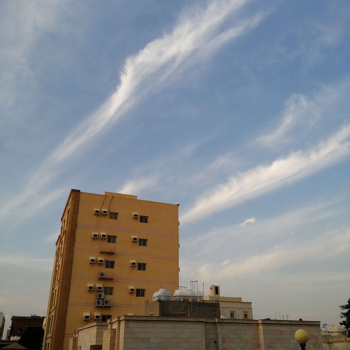 مشاركاتي في أنت الراصد