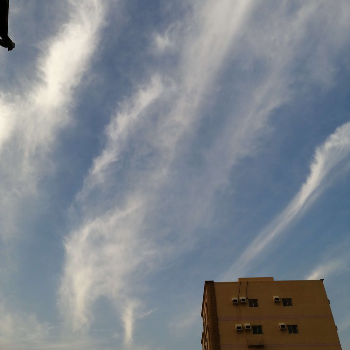 مشاركاتي في أنت الراصد