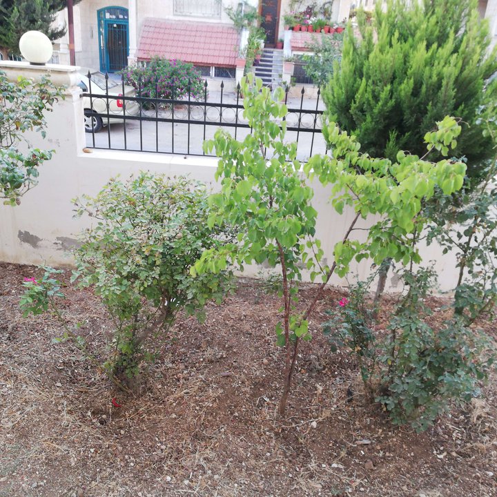 My Crowdsourcing Posts