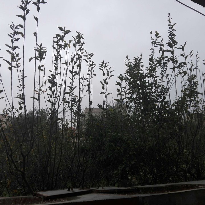 My Crowdsourcing Posts