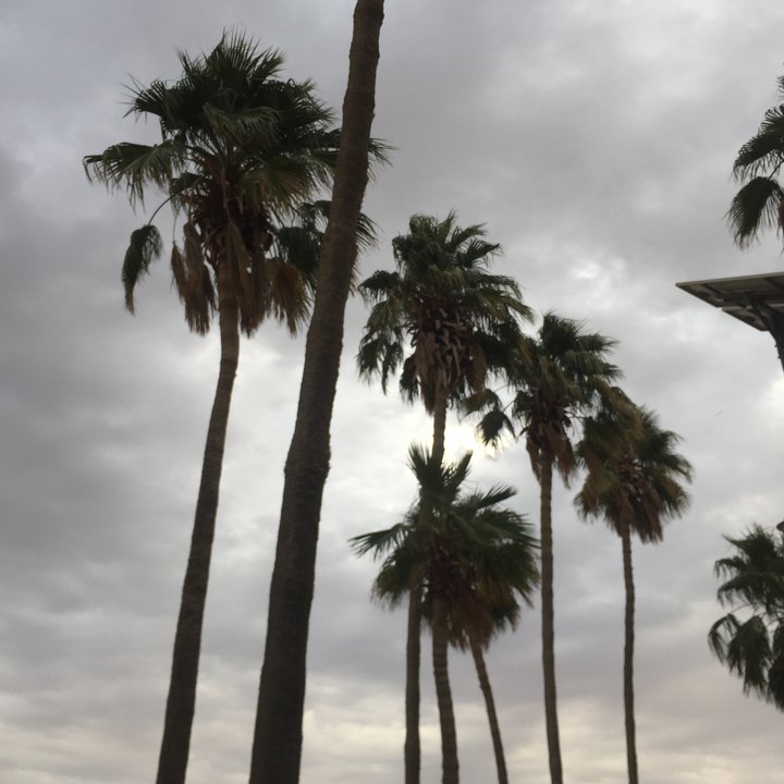 My Crowdsourcing Posts