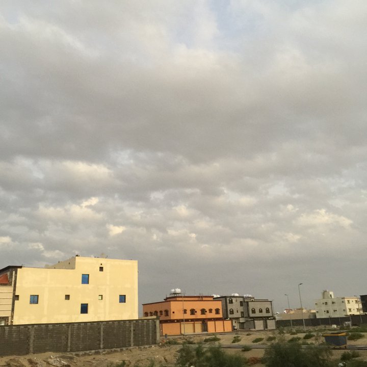 مشاركاتي في أنت الراصد