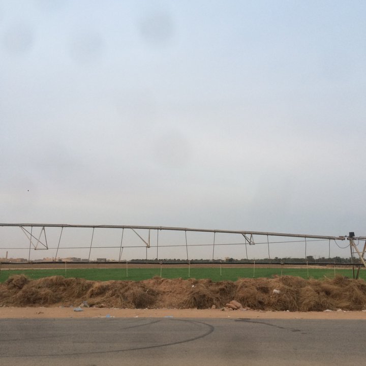 My Crowdsourcing Posts