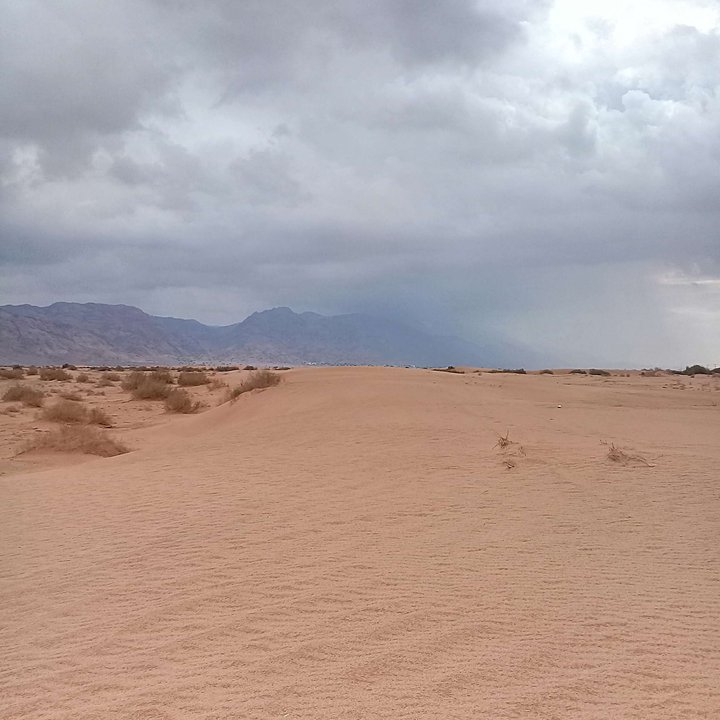 My Crowdsourcing Posts